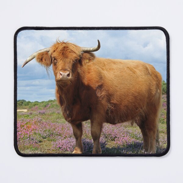Item preview, Highland lass designed and sold by elaine pearson.