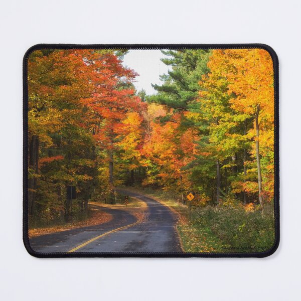 Item preview, Autumn Colours 5 - MacKenzie-King Estate designed and sold by Yannik Hay.