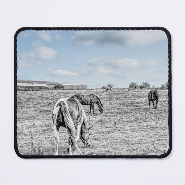 Item preview, Composite of horses in a field in Heywood, Manchester, England. designed and sold by PicsByTony.