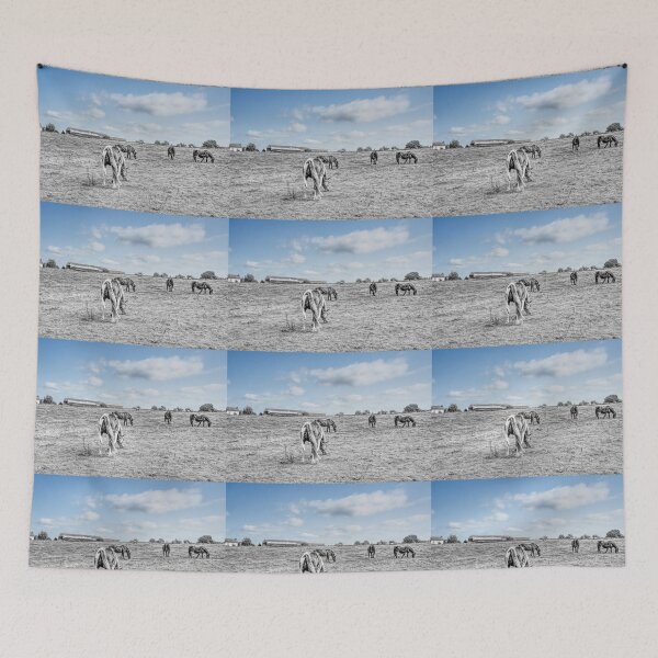 Item preview, Composite of horses in a field in Heywood, Manchester, England. designed and sold by PicsByTony.