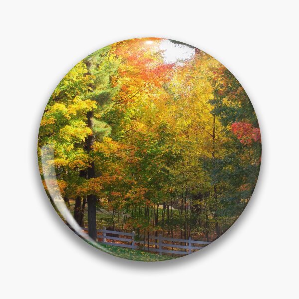 Item preview, Autumn Colours 4 - MacKenzie-King Estate designed and sold by Yannik Hay.