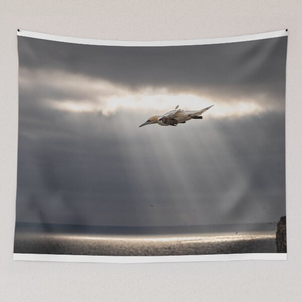 Item preview, ray of light  designed and sold by AliMarleyPhoto.