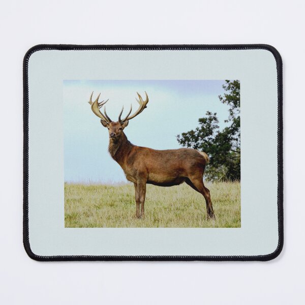 Item preview, A Fabulous Red Stag designed and sold by Karen Thomson.
