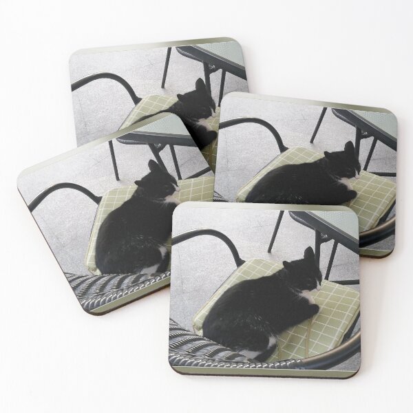 Item preview, Black cat on a terrace designed and sold by feiermar.