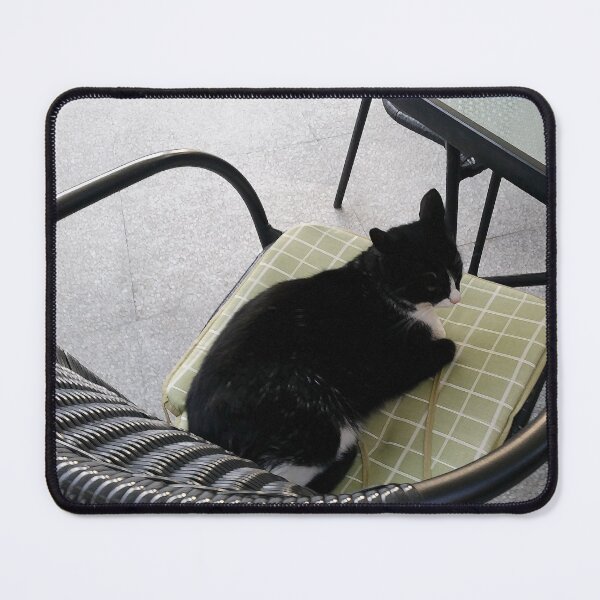 Item preview, Black cat on a terrace designed and sold by feiermar.