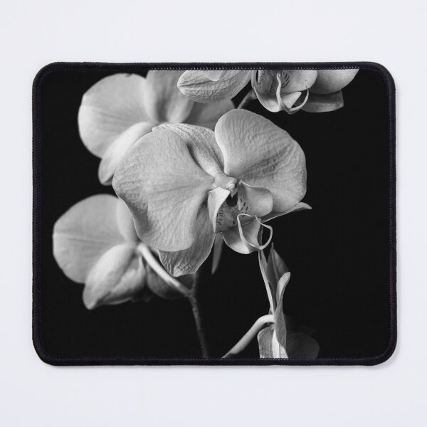 Item preview, Orchid designed and sold by m-conquest.