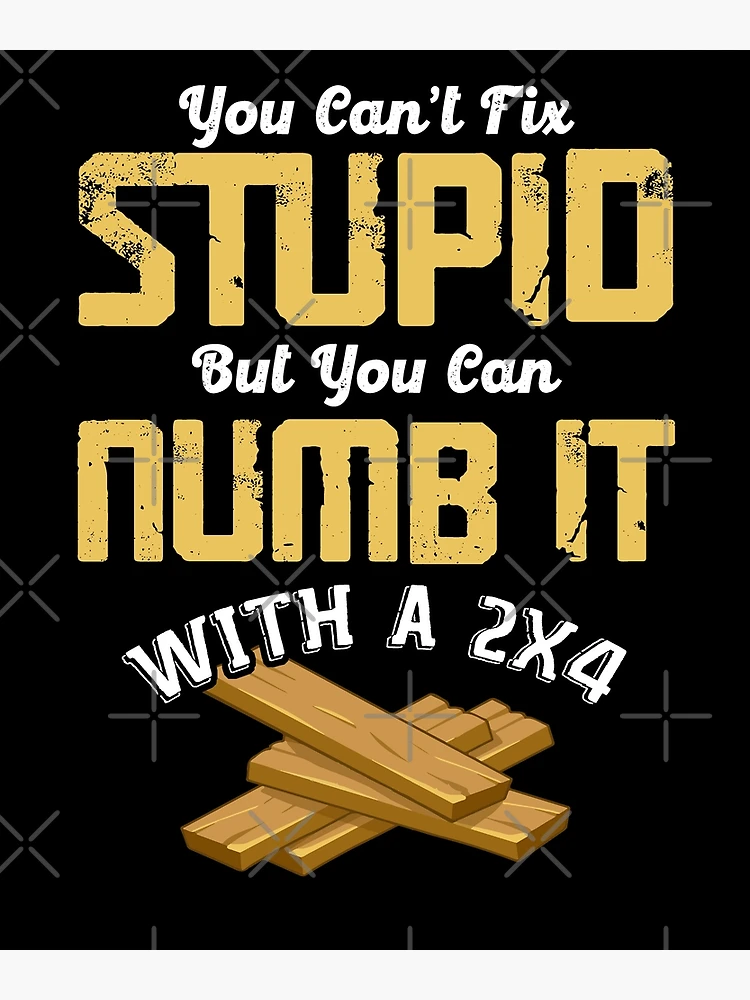 You Can't Fix Stupid But You Can Numb It With 2x4 | Poster