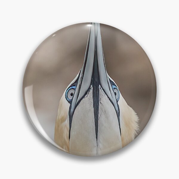 Item preview, chin up designed and sold by AliMarleyPhoto.