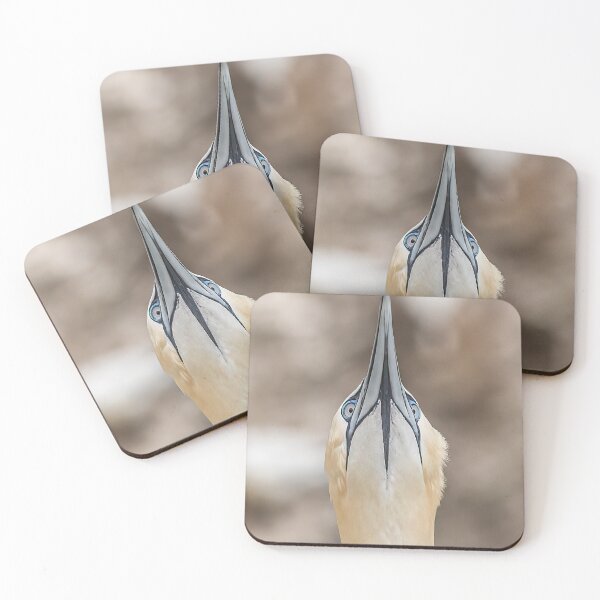Item preview, chin up designed and sold by AliMarleyPhoto.