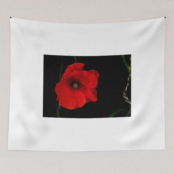 Item preview, Netherlands Wild Poppies designed and sold by nbrandsberg.