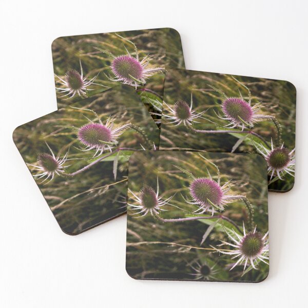 Item preview, Dutch Thistle Wildflowers designed and sold by nbrandsberg.
