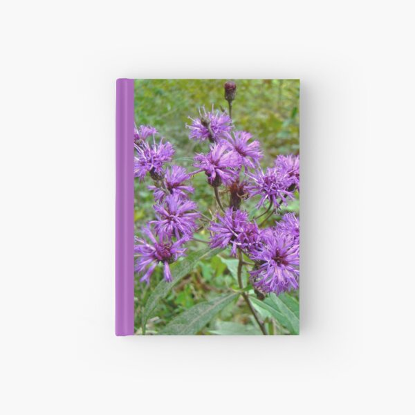 New York Ironweed Wildflower - Vernonia noveboracensis Hardcover Journal