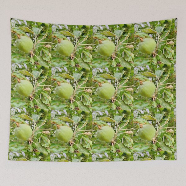 Item preview, Fruit  designed and sold by baksuart.