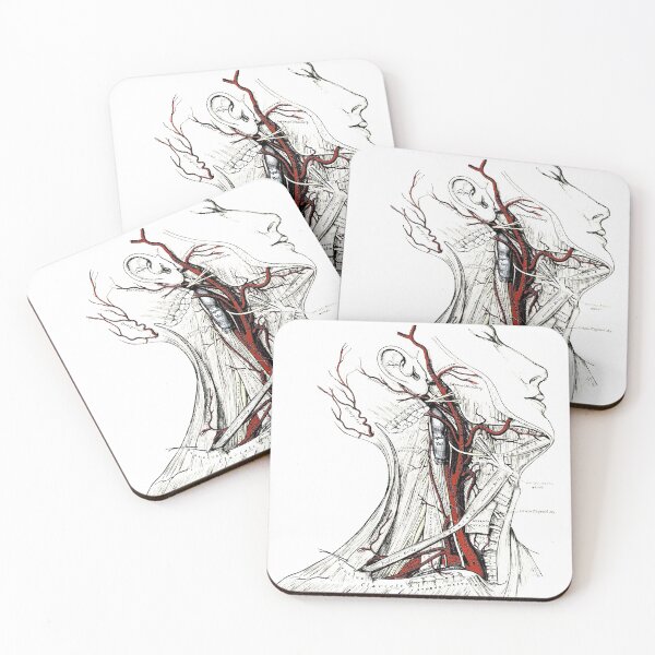 Item preview, Gray's Anatomy Illustration - Vintage Art designed and sold by RickE.