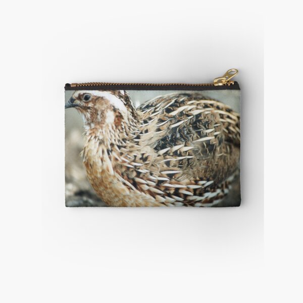 Item preview, European quail designed and sold by kenwalters.