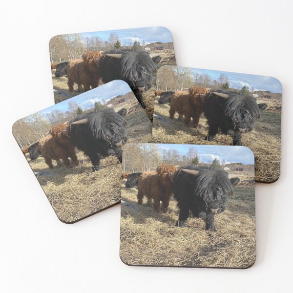 Item preview, Scottish Highland Cattle Calves 2814 designed and sold by SaarelaHighland.