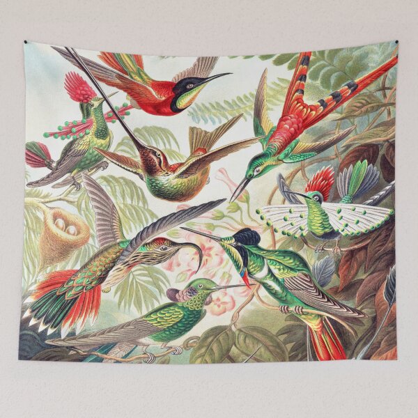 Item preview, Trochilidae–Kolibris designed and sold by rimmatv.