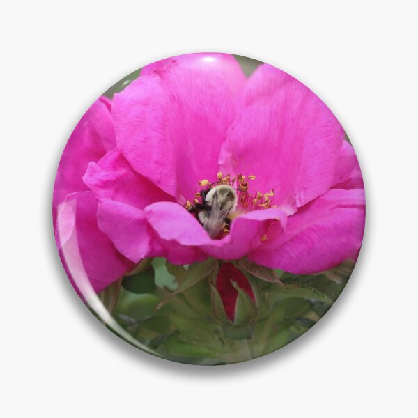Item preview, Rosy Bumblebee designed and sold by LisaNaturePhoto.