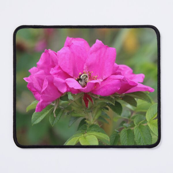 Item preview, Rosy Bumblebee designed and sold by LisaNaturePhoto.