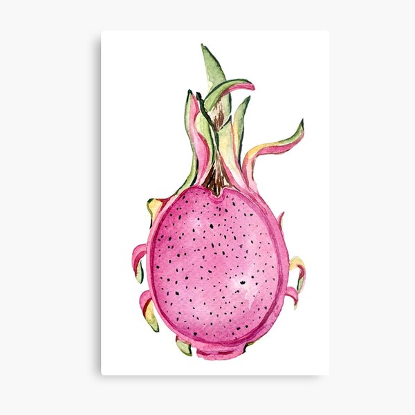 This is a dragon fruit this means its bad right  rwhatsthisplant