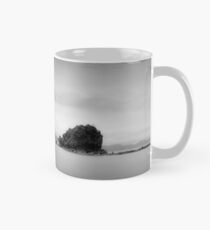 Bird Rock Mug