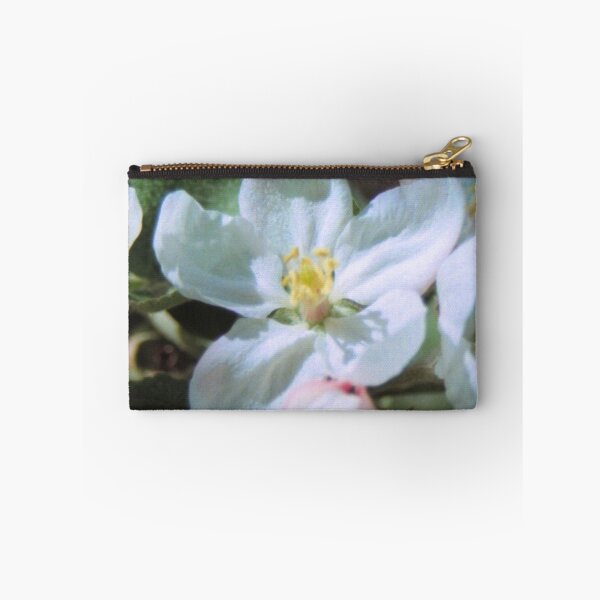 Aperçu de l'œuvre Apple Blossom créée et vendue par chazz.