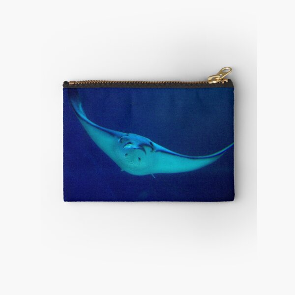 Item preview, Gliding Ray designed and sold by JimFilmer.
