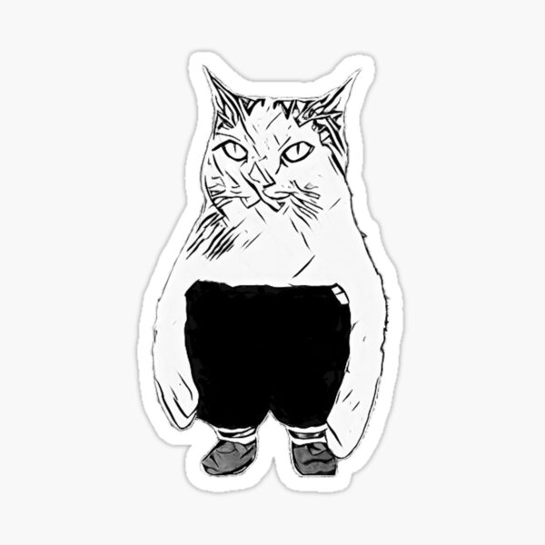 cat pants like a dog meme｜TikTok Search
