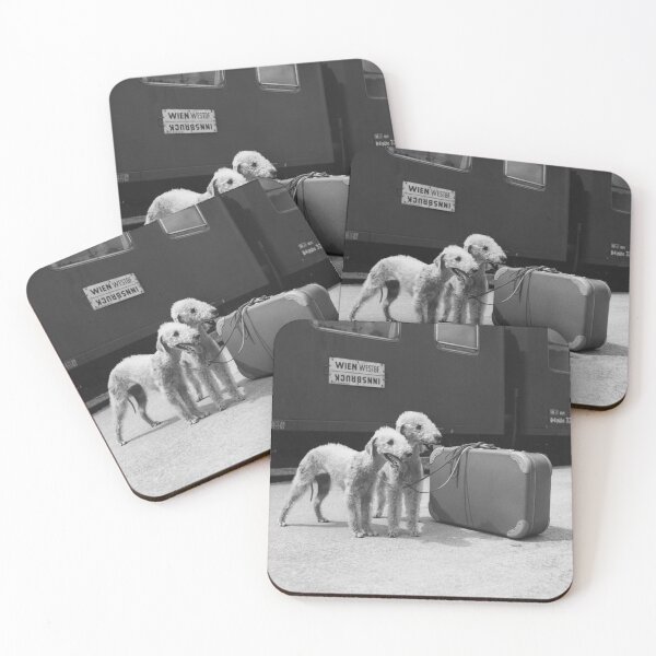 Item preview, Bedlington Terrier Dogs Wait for Train, Vintage Train Station in Austria designed and sold by ScienceSource.