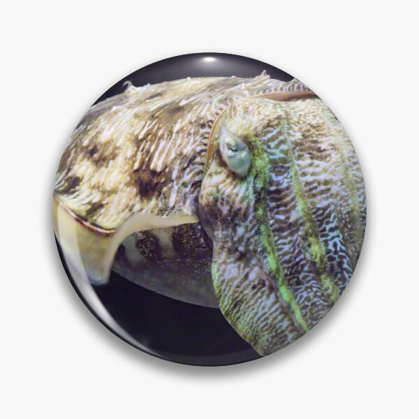 Item preview, Cuttlefish designed and sold by Kiran-Fine-Art.