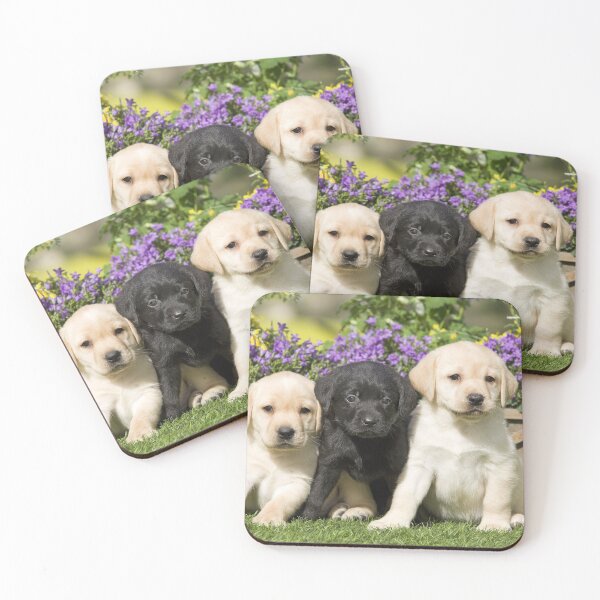 Item preview, Three Puppies, Yellow and Black Labrador Retrievers  designed and sold by ScienceSource.