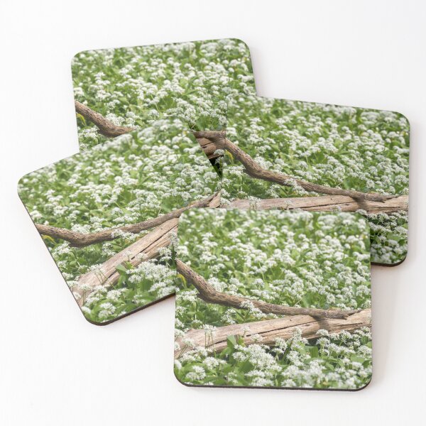 Item preview, Suffolk Wild Garlic patch designed and sold by ccullen222.