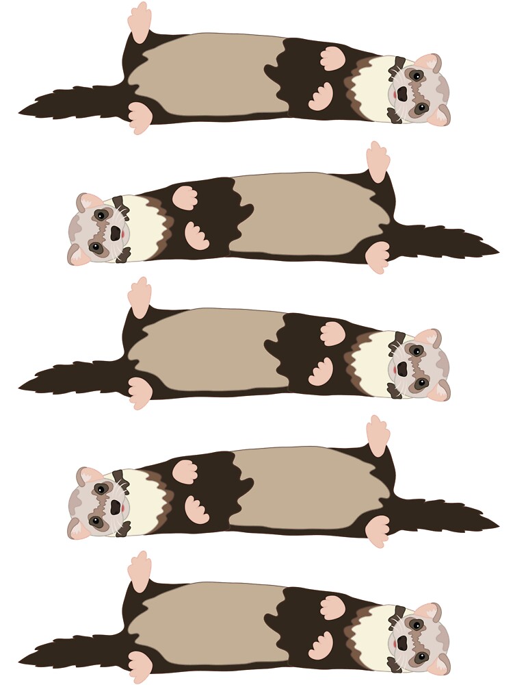 ferrets Kids T-Shirt