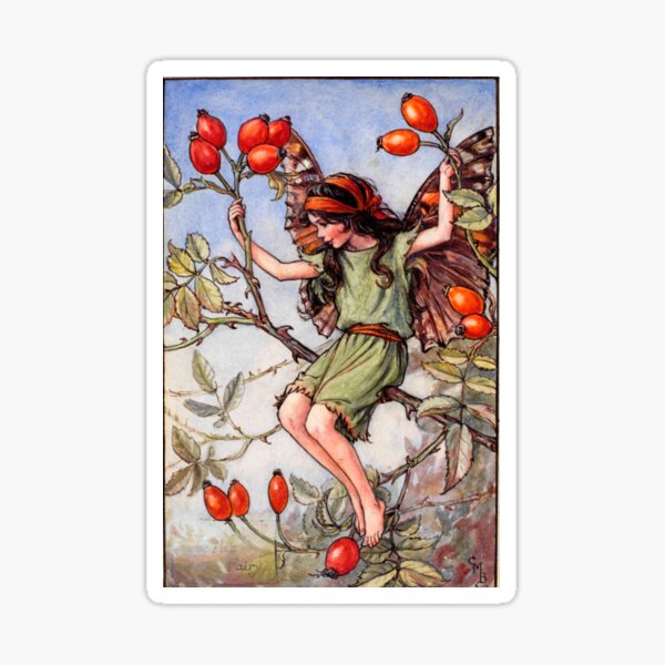 Item preview, The Rose Hip Fairy illustration  designed and sold by Bellathewilde.