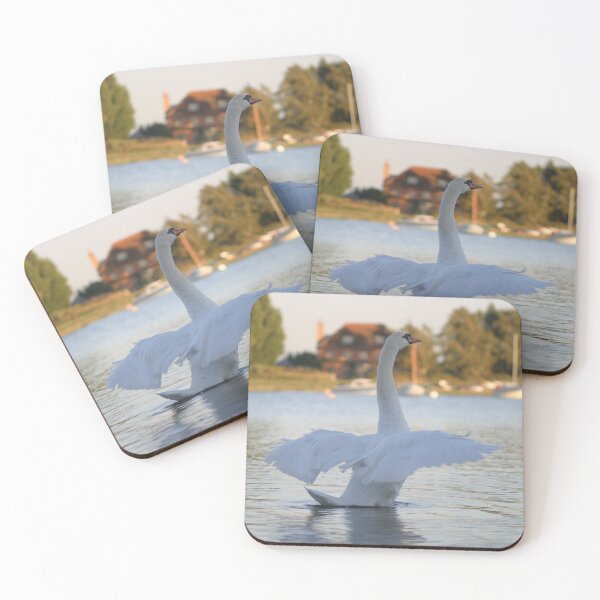 Item preview, Swan Bay designed and sold by 2020visuals.