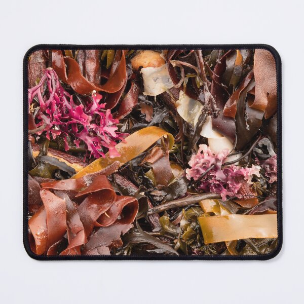 Item preview, Costa de North Berwick # 2 designed and sold by ccullen222.