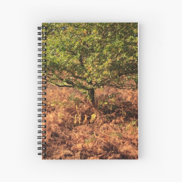Early Autumn Colours Spiral Notebook