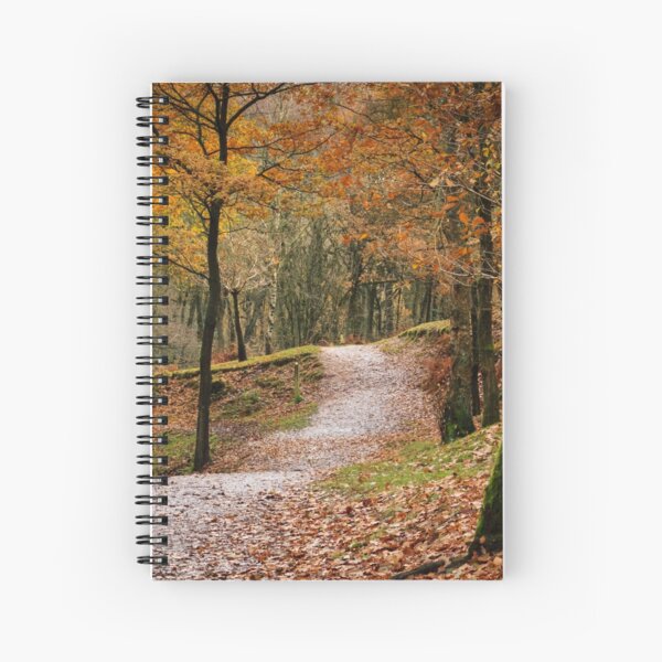 Autumn Path 2 Spiral Notebook
