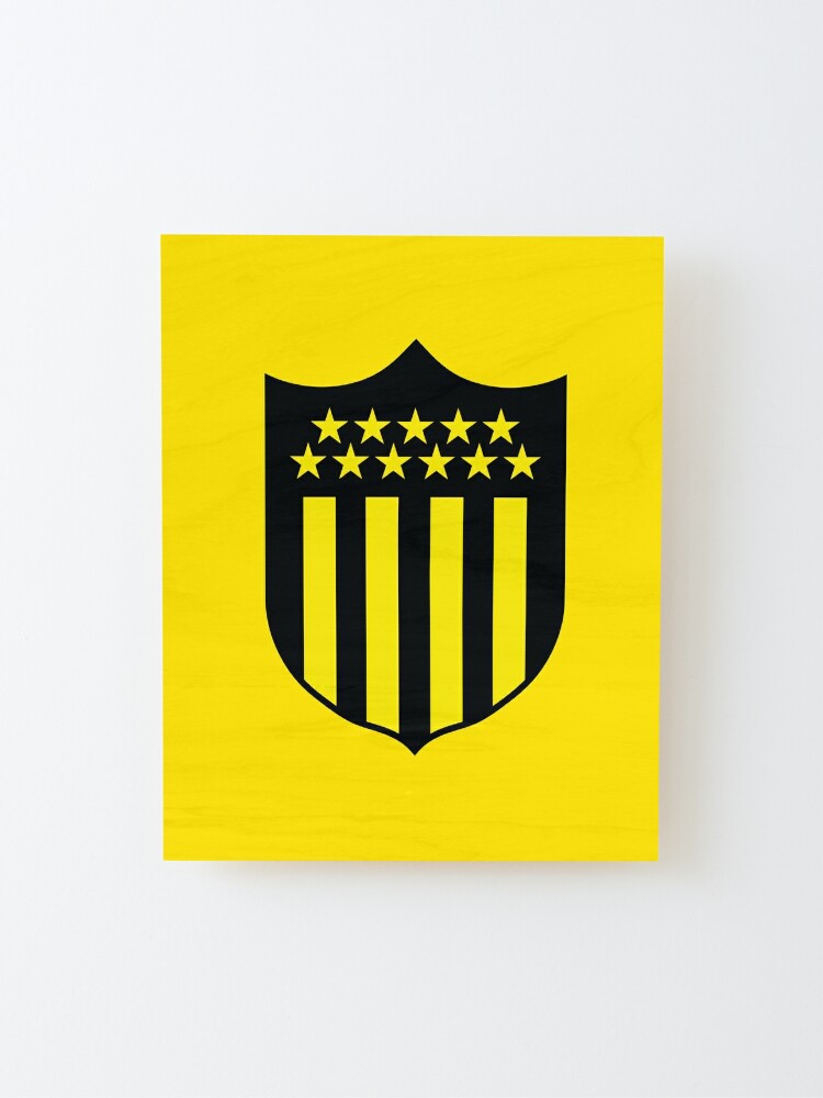 Racing Montevideo FC, logo, Uruguayan Primera Division, emblem, wooden  texture, HD wallpaper