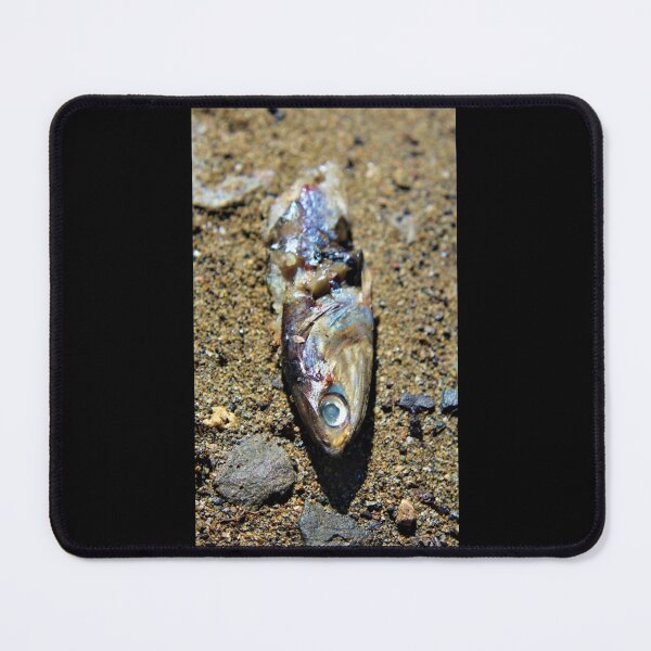 Item preview, Fish Face designed and sold by craftsbydaphy.