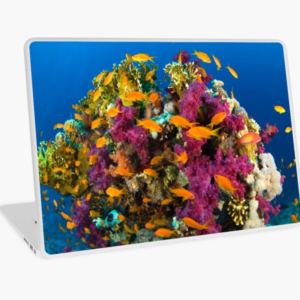 Coral Reef Laptop Skin