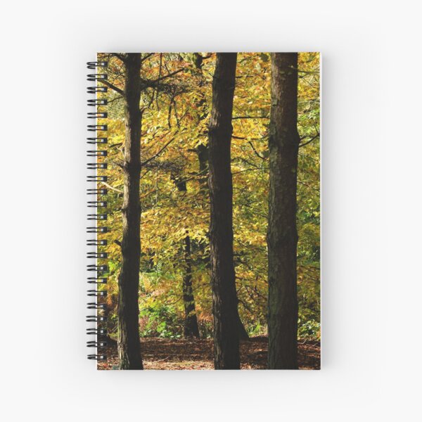 Autumn Woods Spiral Notebook