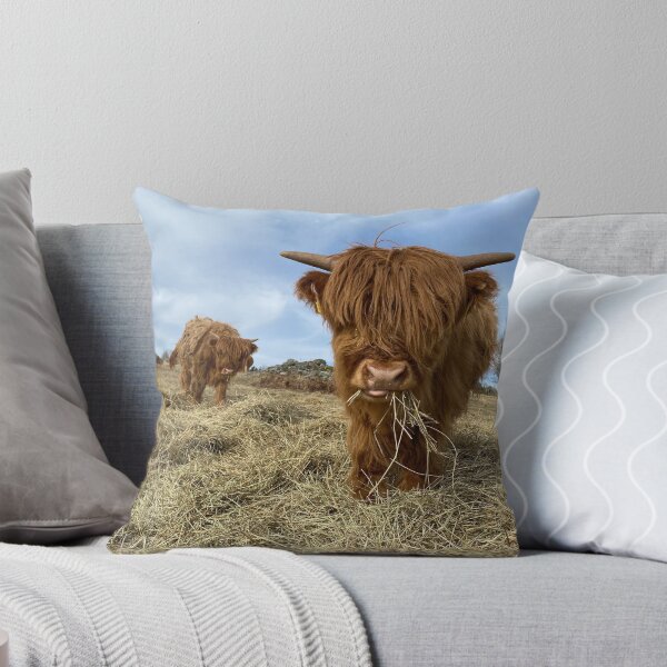 Artikelvorschau, Scottish Highland Cattle Calves 2833 entworfen und verkauft von SaarelaHighland.