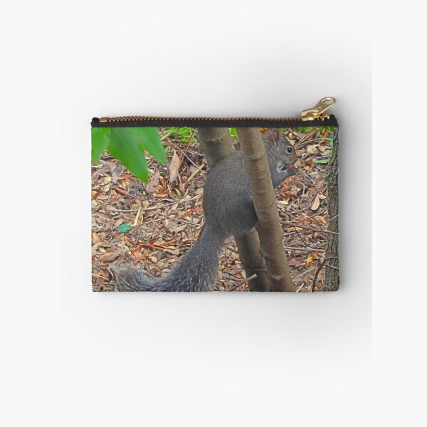 Item preview, Squirrel Olympics tryouts designed and sold by Lenny La Rue, IPA.