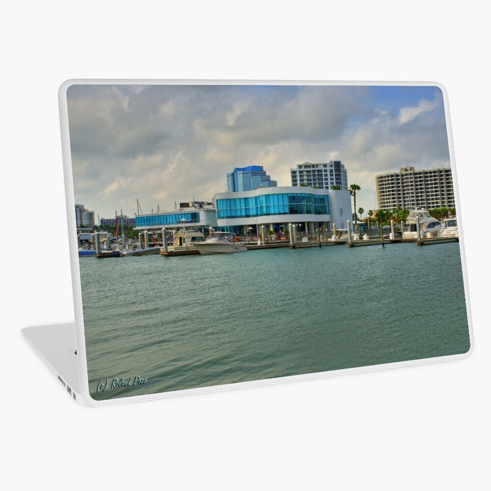 Marina Jack's Laptop Skin