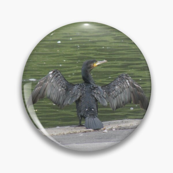 Item preview, Cormorant with Outstretched Wings Photograph designed and sold by naturegallery.