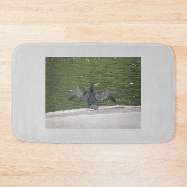 Item preview, Cormorant with Outstretched Wings Photograph designed and sold by naturegallery.