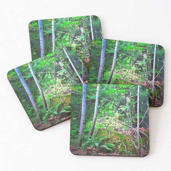 Item preview, Birch Trees designed and sold by KirtTisdale.