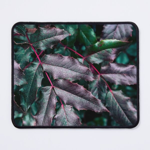 Item preview, Barberry plant designed and sold by printernet.
