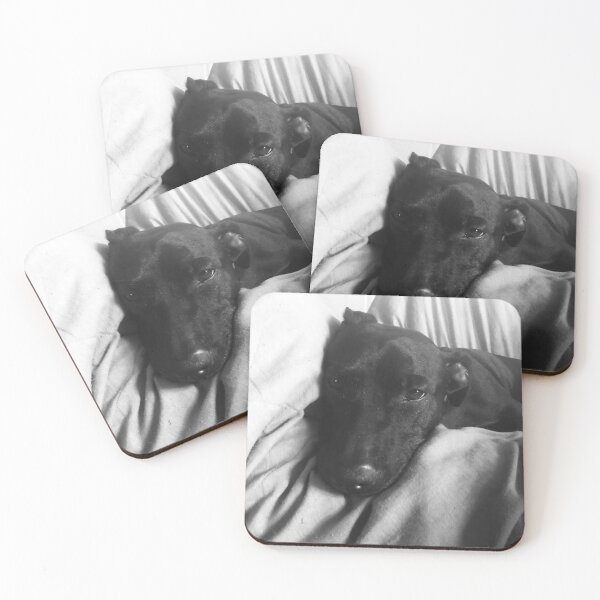 Item preview, Sammy designed and sold by Bob Bogs.